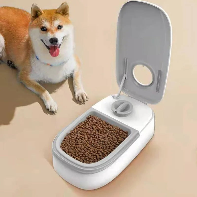 48-Hour Timed Pet Feeder
