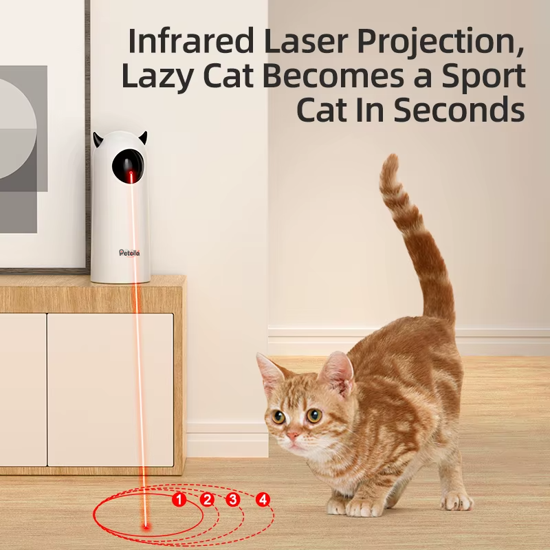 Automatic Interactive Laser Cat Toy